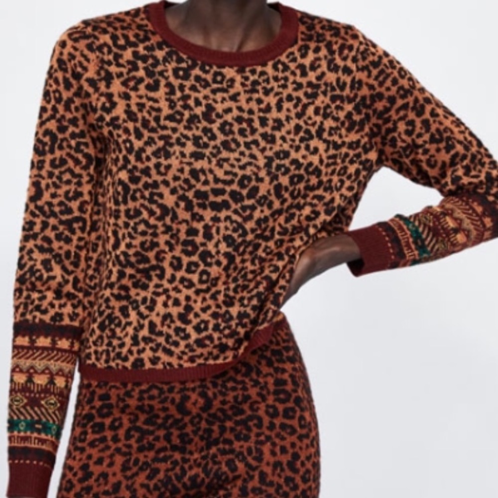 Zara leopard print sweater